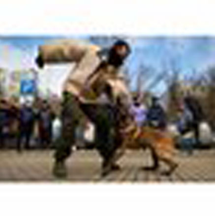 testimonials images